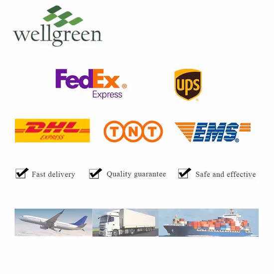 Polvere di succo di prugna affumicata