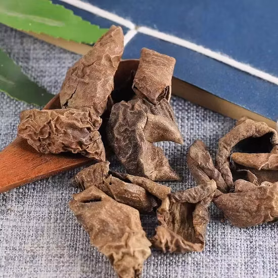 Estratto di semi di noce di alta qualità, estratto di Juglans Regia, ricco di proteine ​​per il cervello