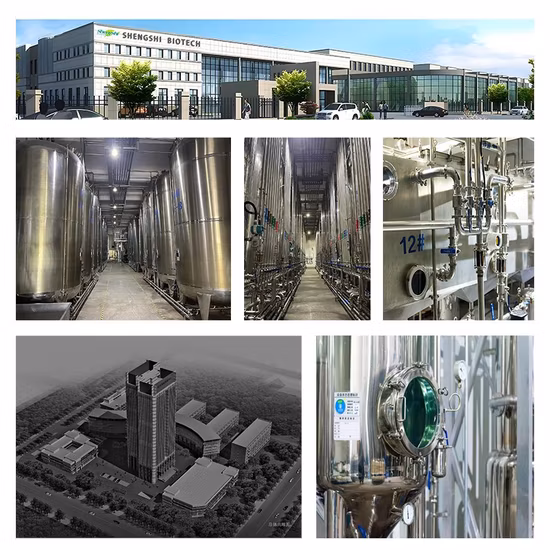 Prezzo di fabbrica 98% CAS 57-00-1 creatina anidra