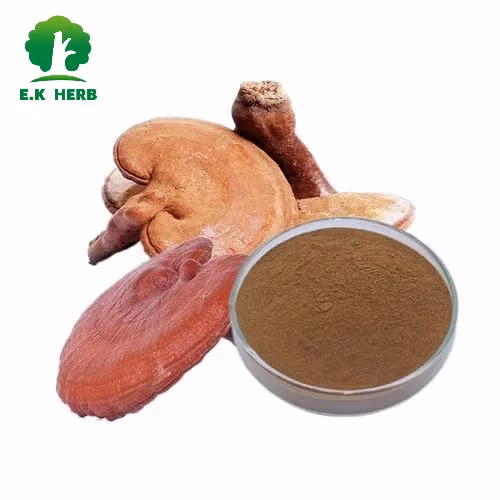 Polvere di polisaccaride vegetale Reishi, estratto di Ganoderma Lucidum del fungo Lingzhi Reishi
