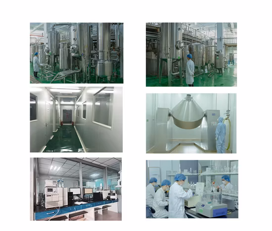 Xi an Sost Biotech Supply Estratto di frutta Polvere di estratto di semi d'uva organico OPC