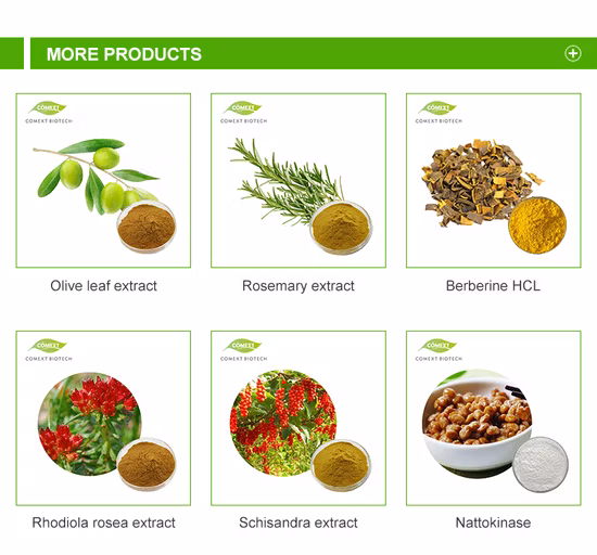Estratto vegetale naturale Estratto di Goji